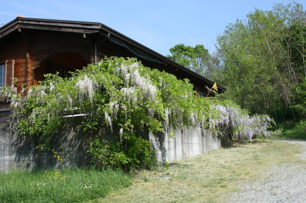 Casa Dell' Abbondanza B&B Agriturismo Vigoleno エクステリア 写真