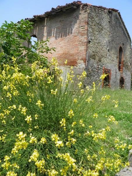 Casa Dell' Abbondanza B&B Agriturismo Vigoleno エクステリア 写真