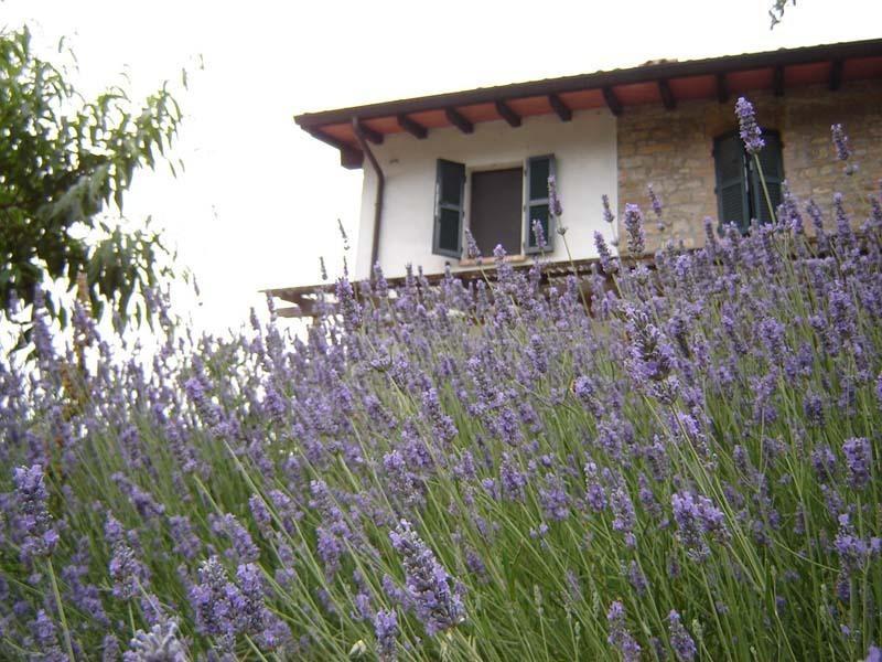 Casa Dell' Abbondanza B&B Agriturismo Vigoleno エクステリア 写真