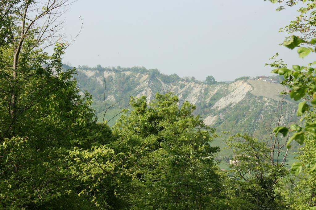 Casa Dell' Abbondanza B&B Agriturismo Vigoleno エクステリア 写真